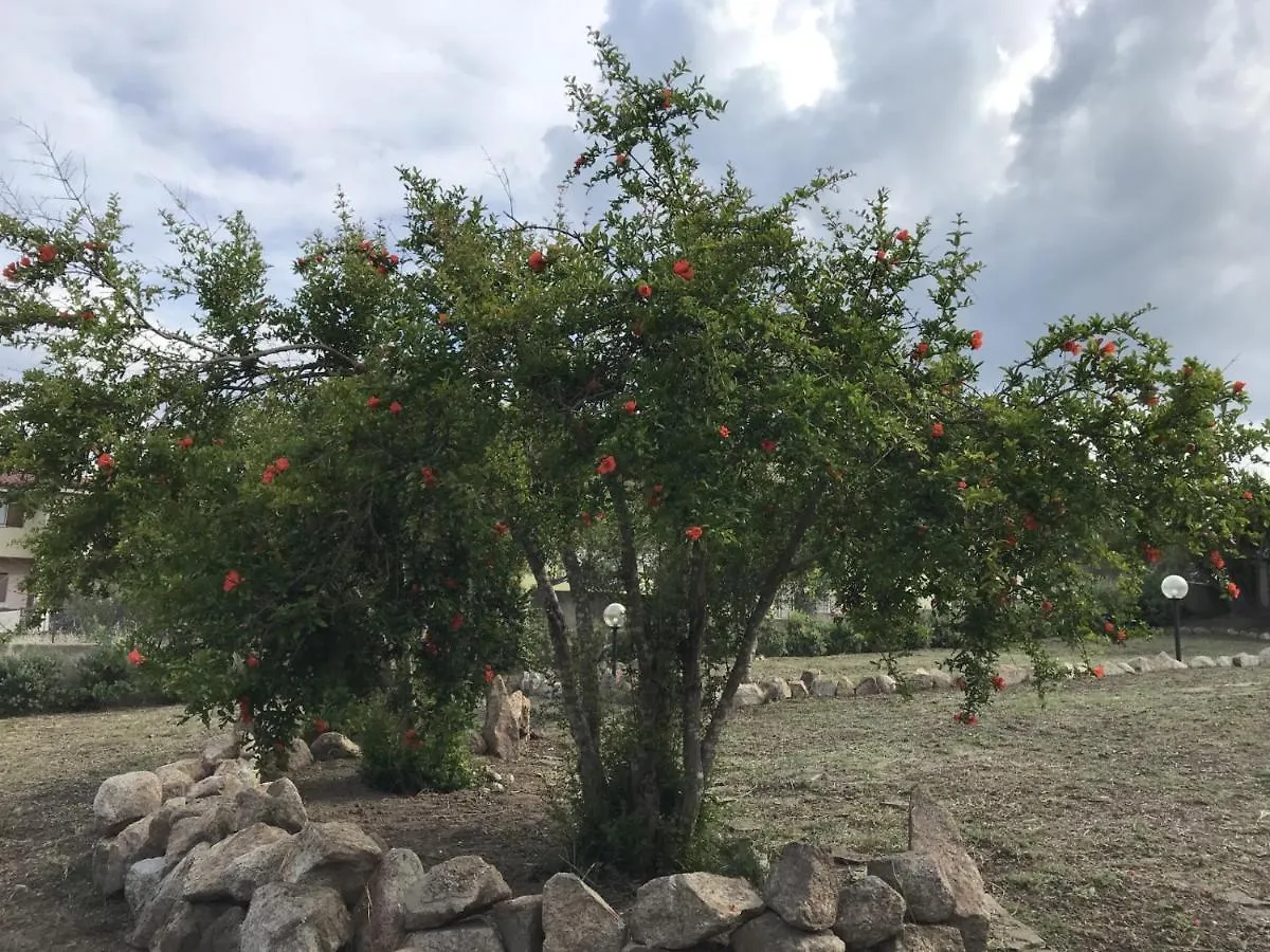 Villetta S'Arenada Golfo Aranci Apartmán