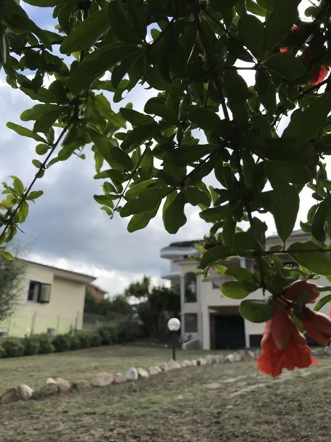Apartment Villetta S'Arenada Golfo Aranci